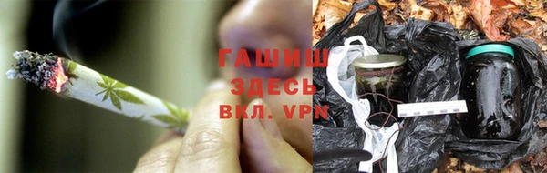 эйфоретик Баксан
