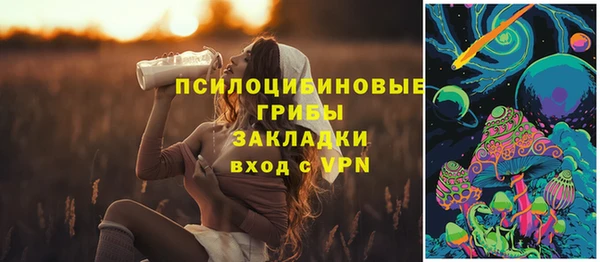 эйфоретик Баксан